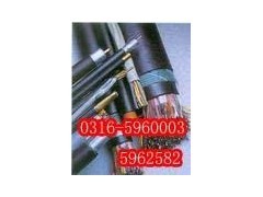 特種電纜應用指南 從硅橡膠到氟塑料，解鎖工業核心連接方案
