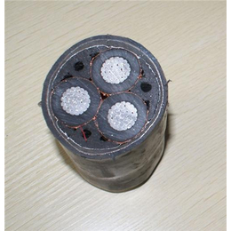 固原超高壓電纜、河北新寶豐電纜與特種電纜市場(chǎng)探析