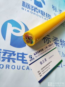 上海標(biāo)柔聚氨酯電纜 聚氨酯高壓特種電纜制造廠(chǎng)家的技術(shù)標(biāo)桿與行業(yè)賦能