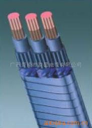 廣西貴港市群星電纜 特種電纜產(chǎn)品全覽與行業(yè)應(yīng)用指南